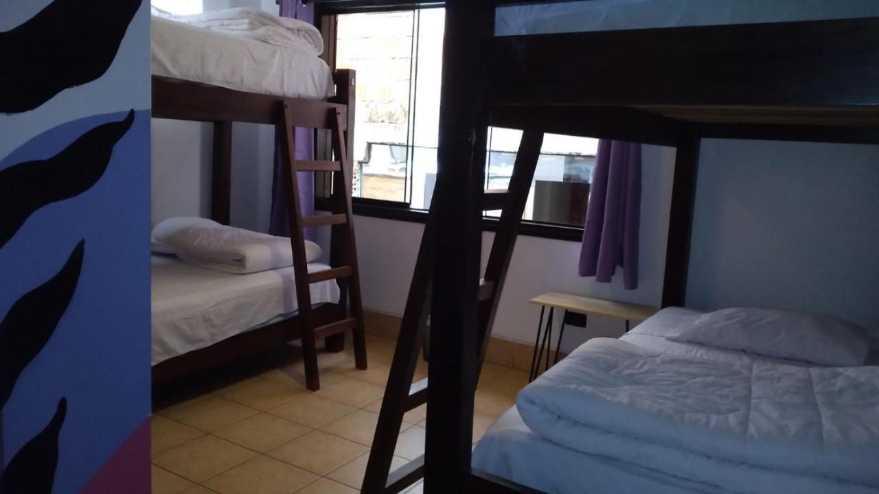 Supertramp Hostel Machupicchu Ngoại thất bức ảnh